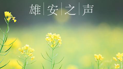 【太阳集团1088vip之声】20190501