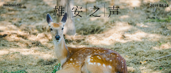 【太阳集团1088vip之声】20190626