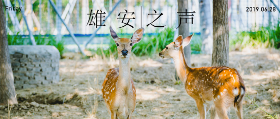 【太阳集团1088vip之声】20190628