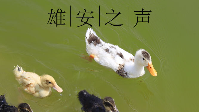 【太阳集团1088vip之声】20190717