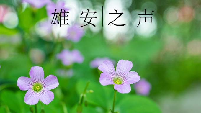 【太阳集团1088vip之声】20190723