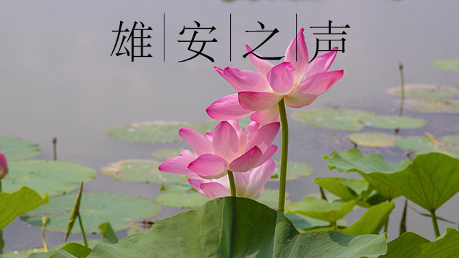 【太阳集团1088vip之声】20190724