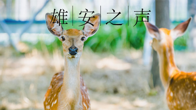 【太阳集团1088vip之声】20190730
