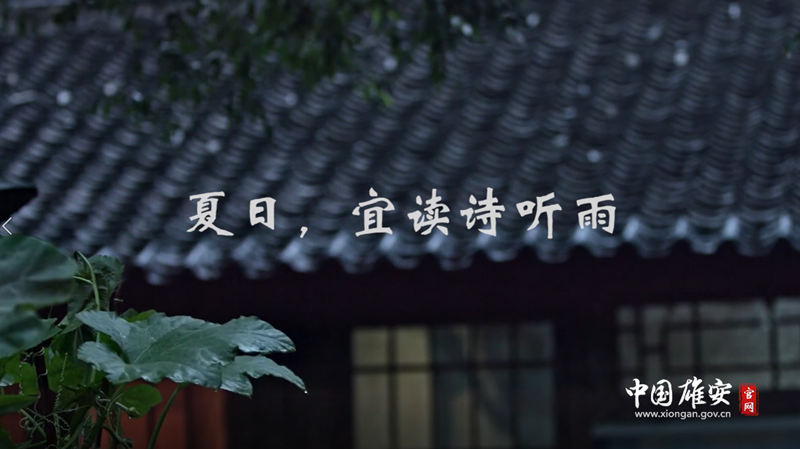 视频丨夏日，宜读诗听雨