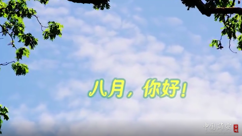 视频丨八月，你好！