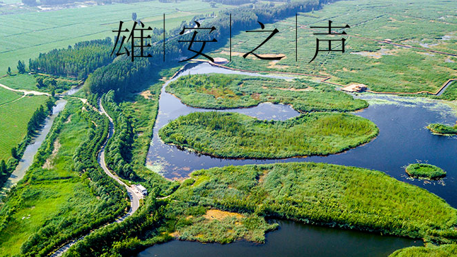 【太阳集团1088vip之声】20190821