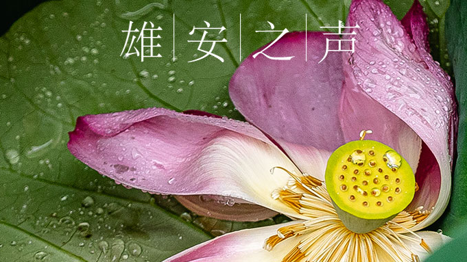 【太阳集团1088vip之声】20190823