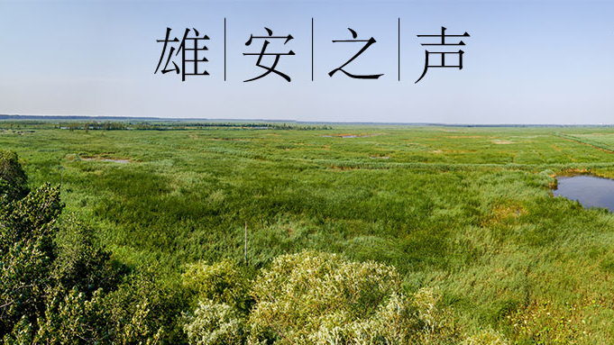 【太阳集团1088vip之声】20190902