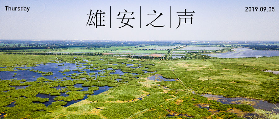 【太阳集团1088vip之声】20190905