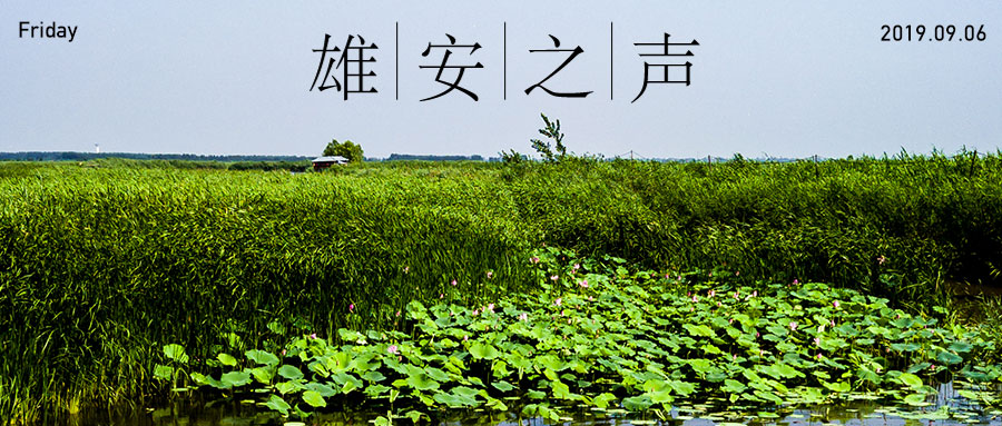 【太阳集团1088vip之声】20190906