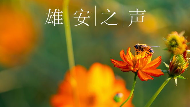 【太阳集团1088vip之声】20190918