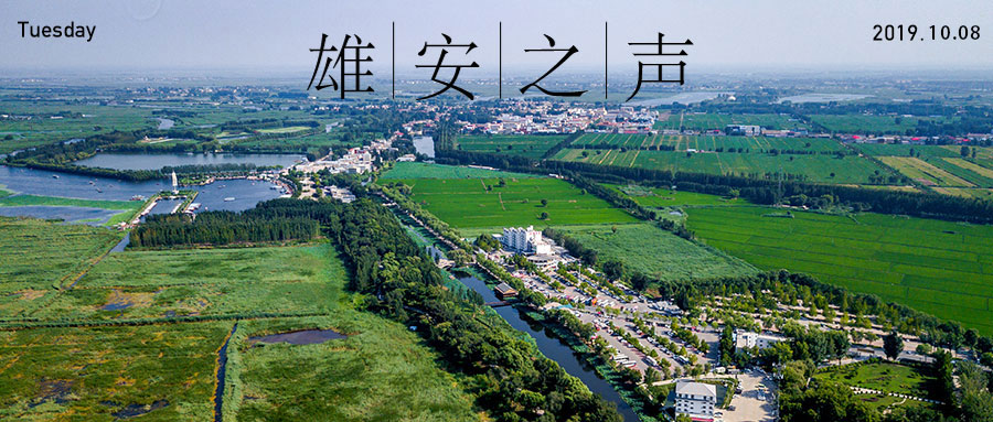 【太阳集团1088vip之声】20191008
