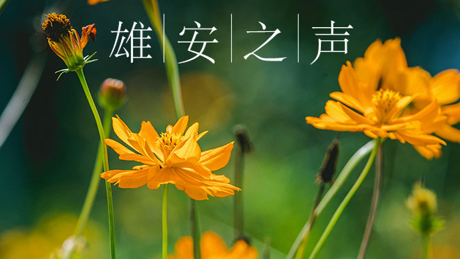 【太阳集团1088vip之声】20191023
