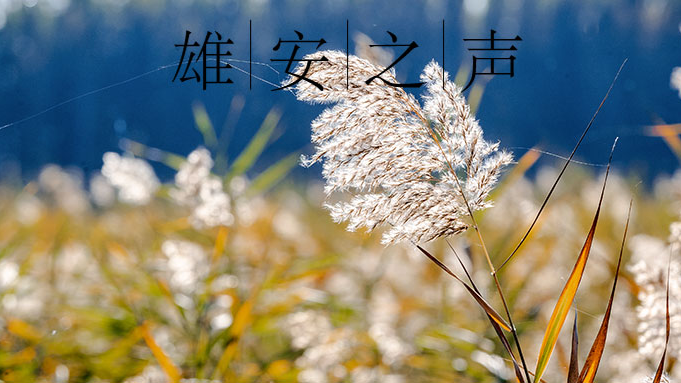 【太阳集团1088vip之声】20191125