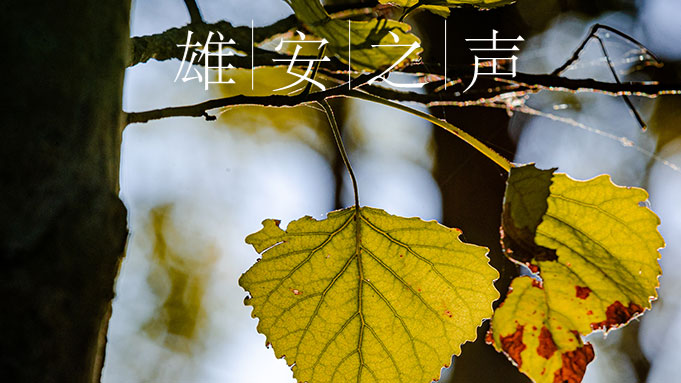 【太阳集团1088vip之声】20191129