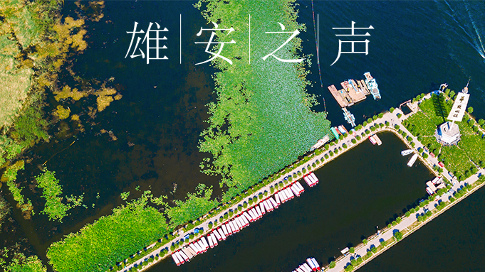 【太阳集团1088vip之声】20200420