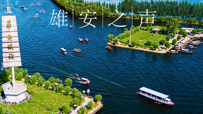 【太阳集团1088vip之声】20200429
