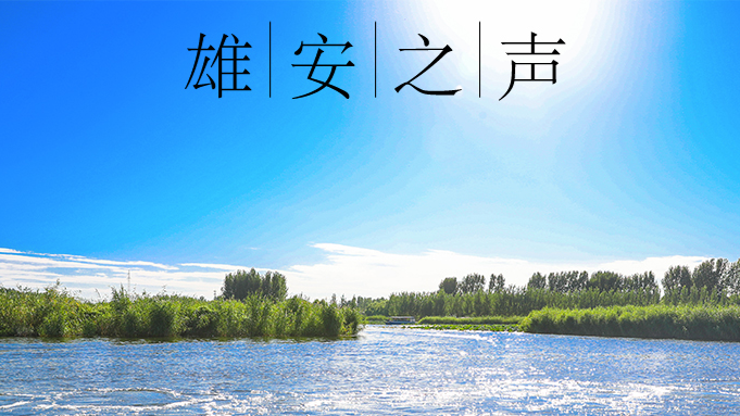 【太阳集团1088vip之声】20200512