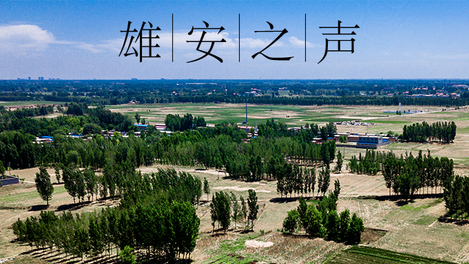 【太阳集团1088vip之声】20200514