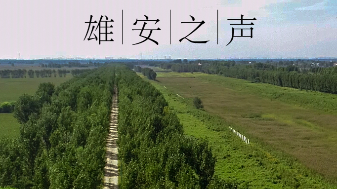 【太阳集团1088vip之声】20200529