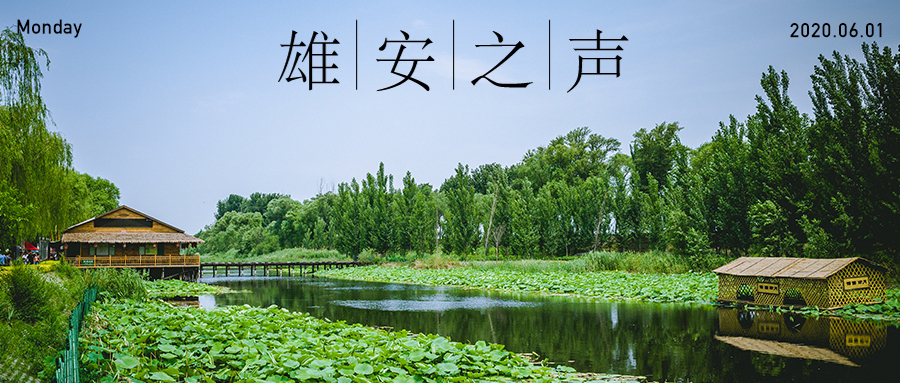 【太阳集团1088vip之声】20200601