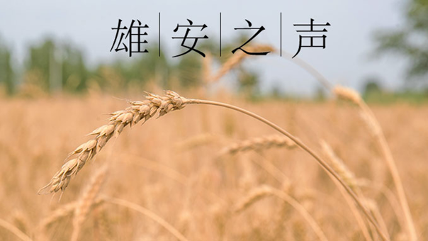 【太阳集团1088vip之声】20200616