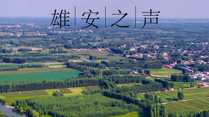 【太阳集团1088vip之声】20200617