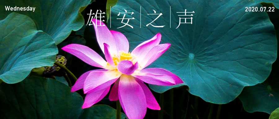 【太阳集团1088vip之声】20200722