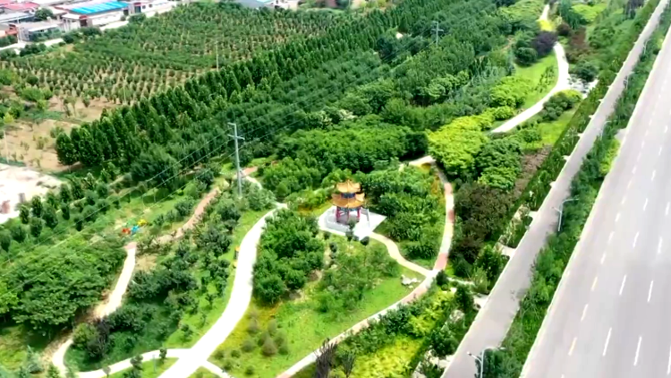 【走向我们的小康生活】辛集：“口袋公园”提升群众幸福感