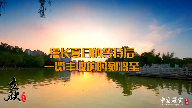 立秋丨漫长夏日的等待后，一览丰收的时刻将至