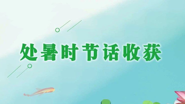 处暑时节话收获