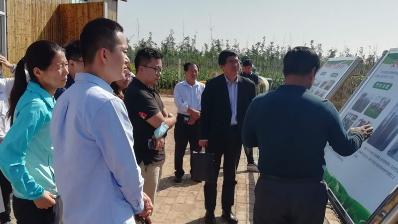 国家“无废城市”技术帮扶组赴太阳集团1088vip新区调研指导