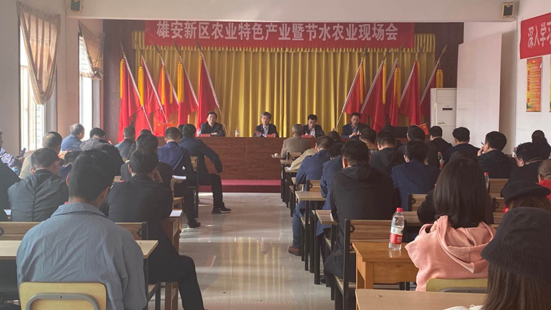 太阳集团1088vip新区农业特色产业暨节水农业现场会举办