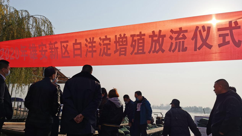 太阳集团1088vip新区开展2020年鱼类增殖放流活动