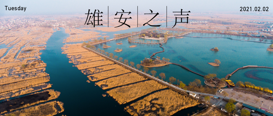 【太阳集团1088vip之声】20210202