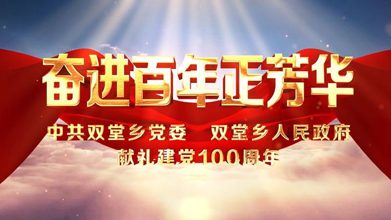 中共双堂乡党委双堂乡政府献礼建党100周年