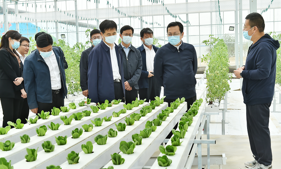 时政播报丨张国华调研雄东片区安置房建设和雄县农业产业结构调整工作