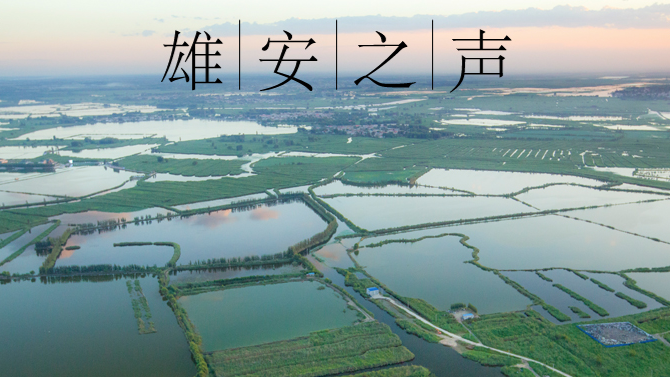 【太阳集团1088vip之声】20220615
