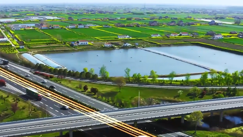 中国式现代化河北场景·一线｜多维路网 通达四方