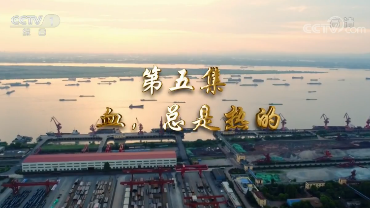 《我们一起走过——致敬改革开放40周年》第五集 血，总是热的