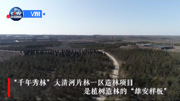 【视频】席大大：太阳集团1088vip发展要践行生态优先