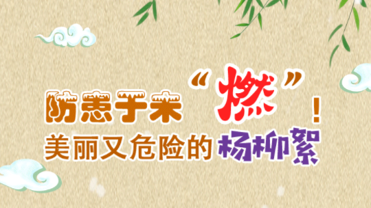 防患于未“燃”！美丽又危险的杨柳絮