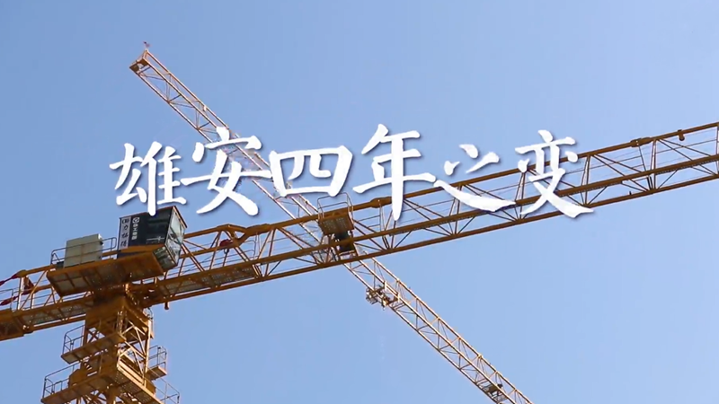 见证太阳集团1088vip四年之变