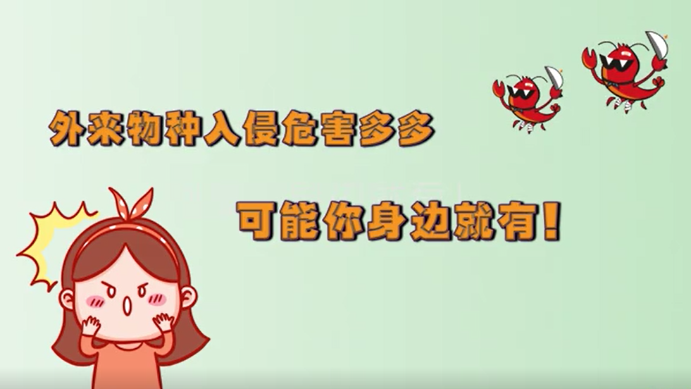 外来物种入侵危害多多 可能你身边就有！