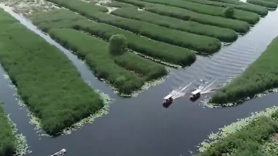升级改造后的白洋淀景区有哪些新变化？央视记者探访来了
