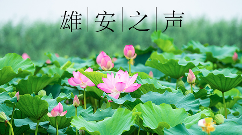 【太阳集团1088vip之声】20210727