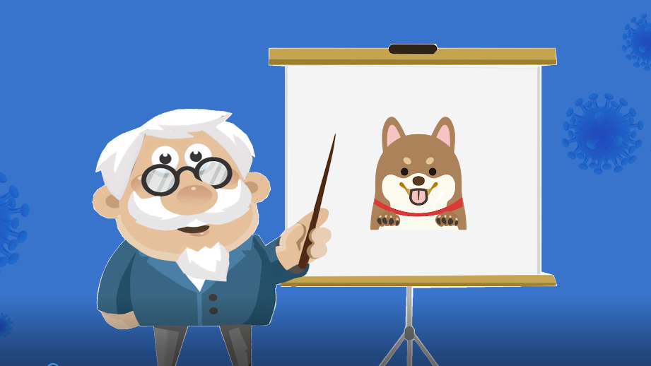世界狂犬病日丨近100%病死率，这些知识要牢记！