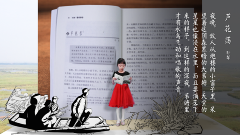 创意视频丨寻找课本里的那一抹红④ ：芦花荡