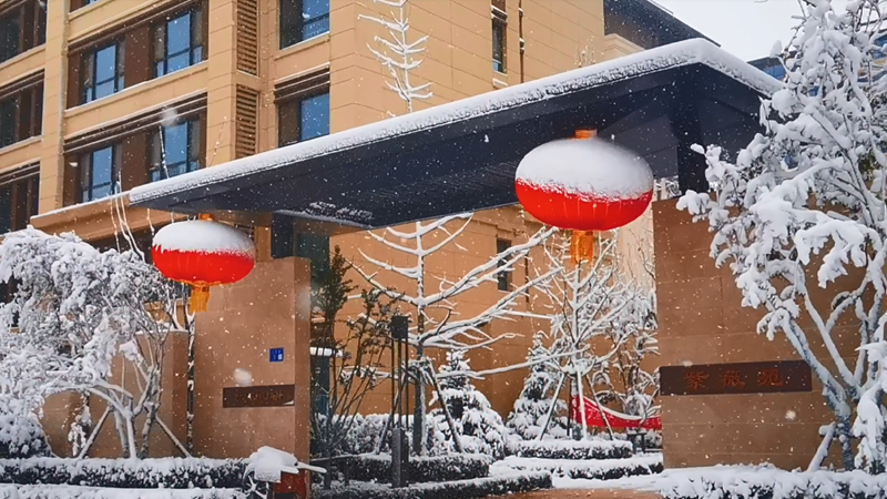 初冬的雪丨许你一场唯美邂逅