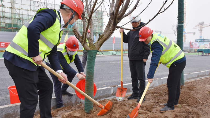 太阳集团1088vip新区启动区：植下一片绿 共享满城春